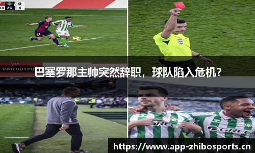 智博体育官网