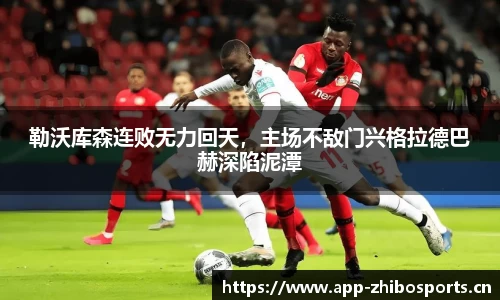 智博体育