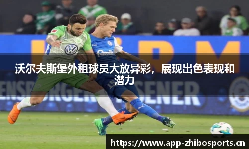 智博体育