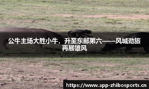 智博体育官网