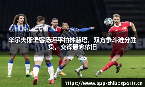 智博体育官网