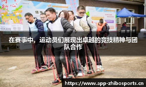智博体育官方网站
