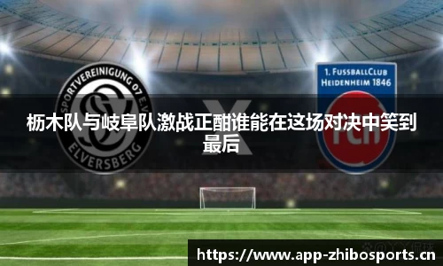 枥木队与岐阜队激战正酣谁能在这场对决中笑到最后