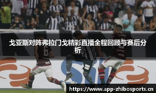 智博体育官方网站