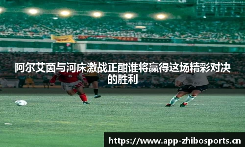 智博体育