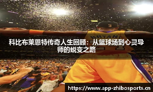 智博体育官网