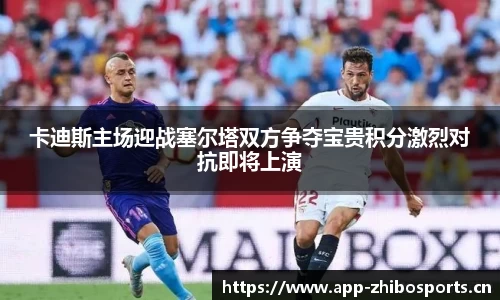 智博体育